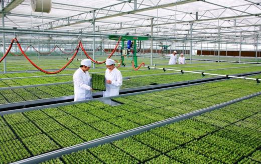 食监管联网远程视频监控系统方案